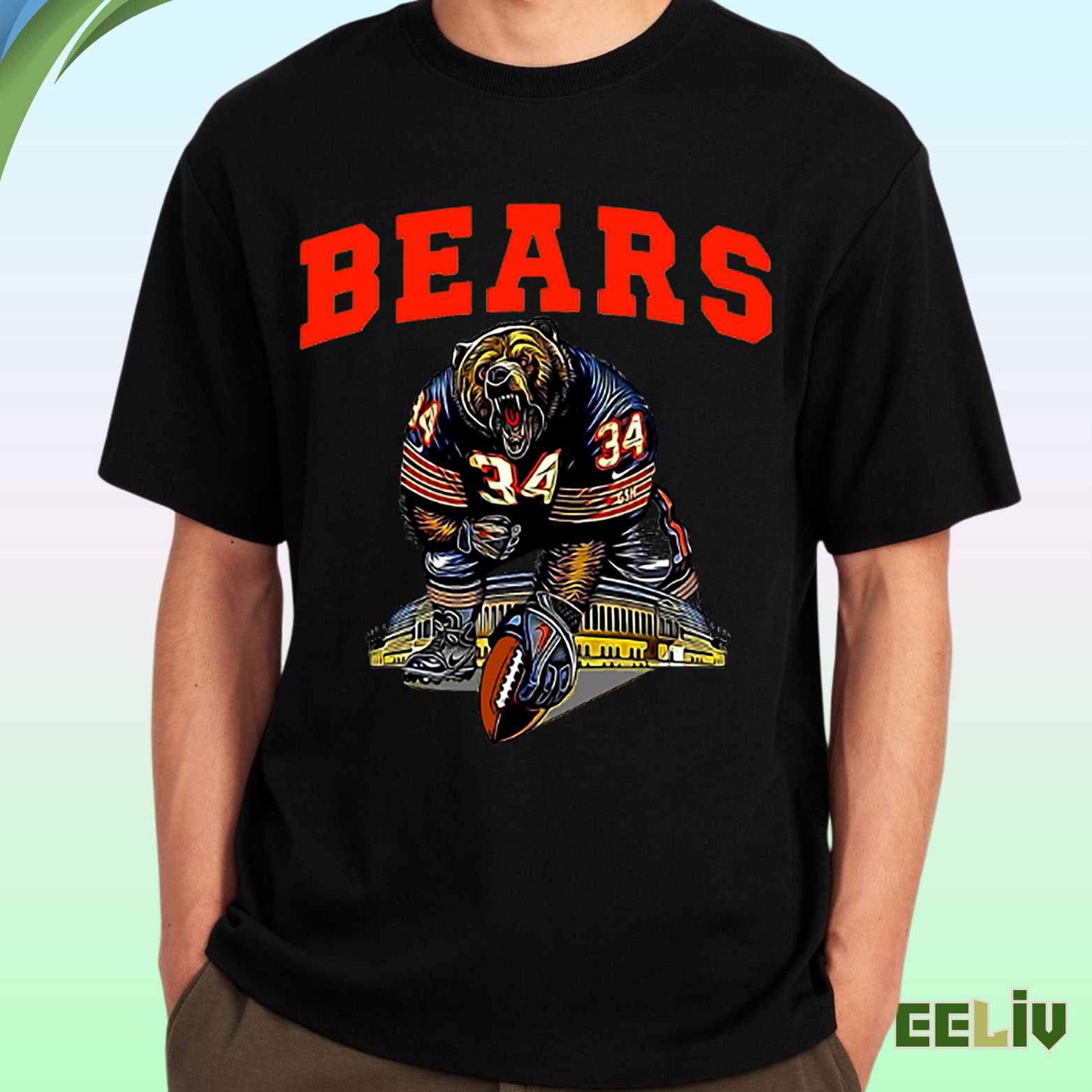Chicago Bears T Shirt – Fierce Bear Football Graphic Tee