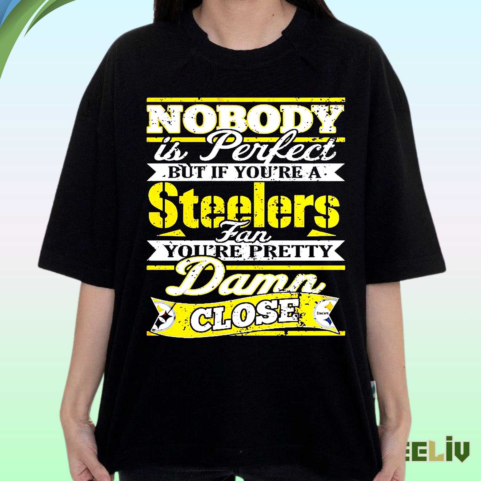 Nobody’s Perfect Steelers Graphic Tee – Proud Pittsburgh Football Fan Shirt