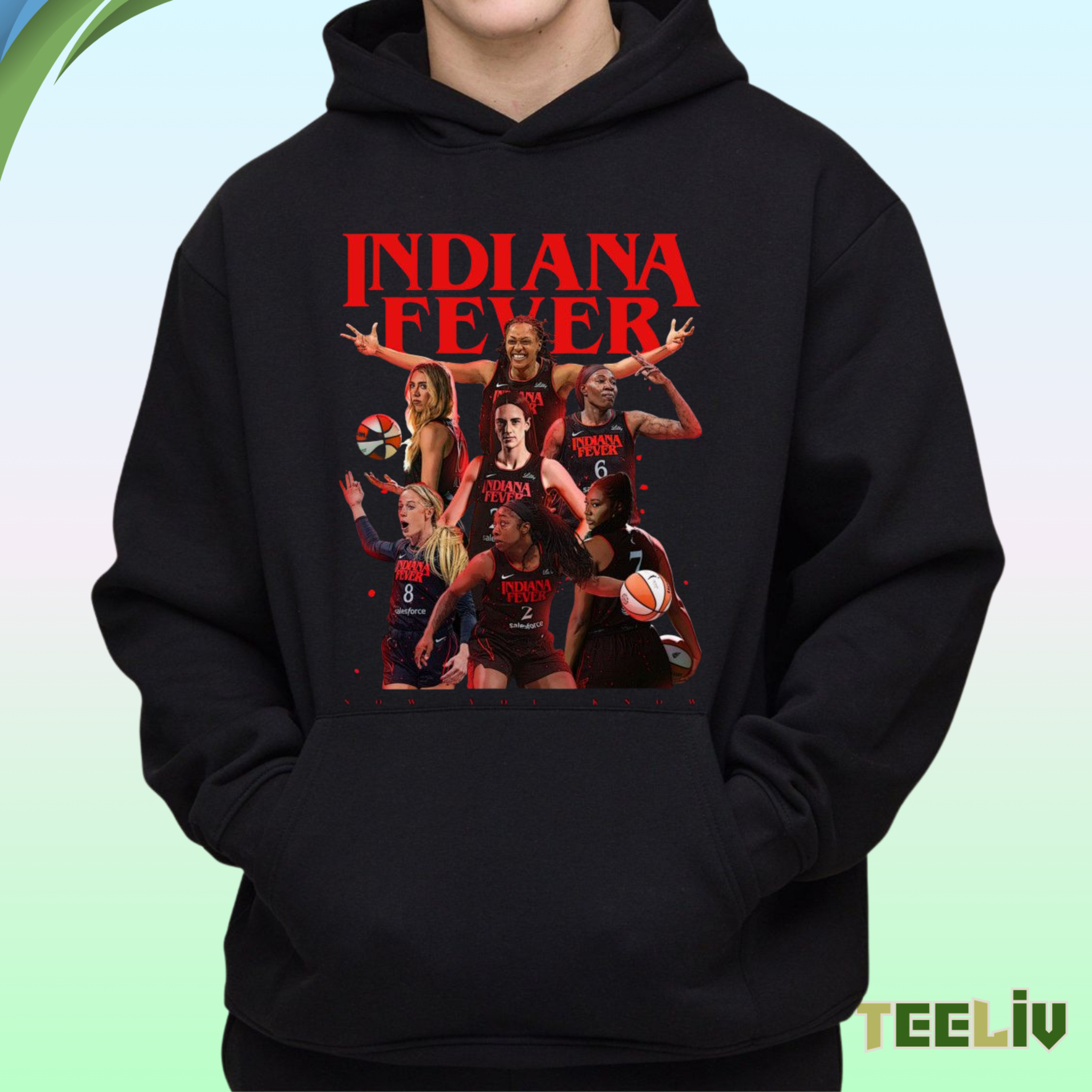 Indiana Fever Hoodie – Wnba Powerhouse Legends Pullover
