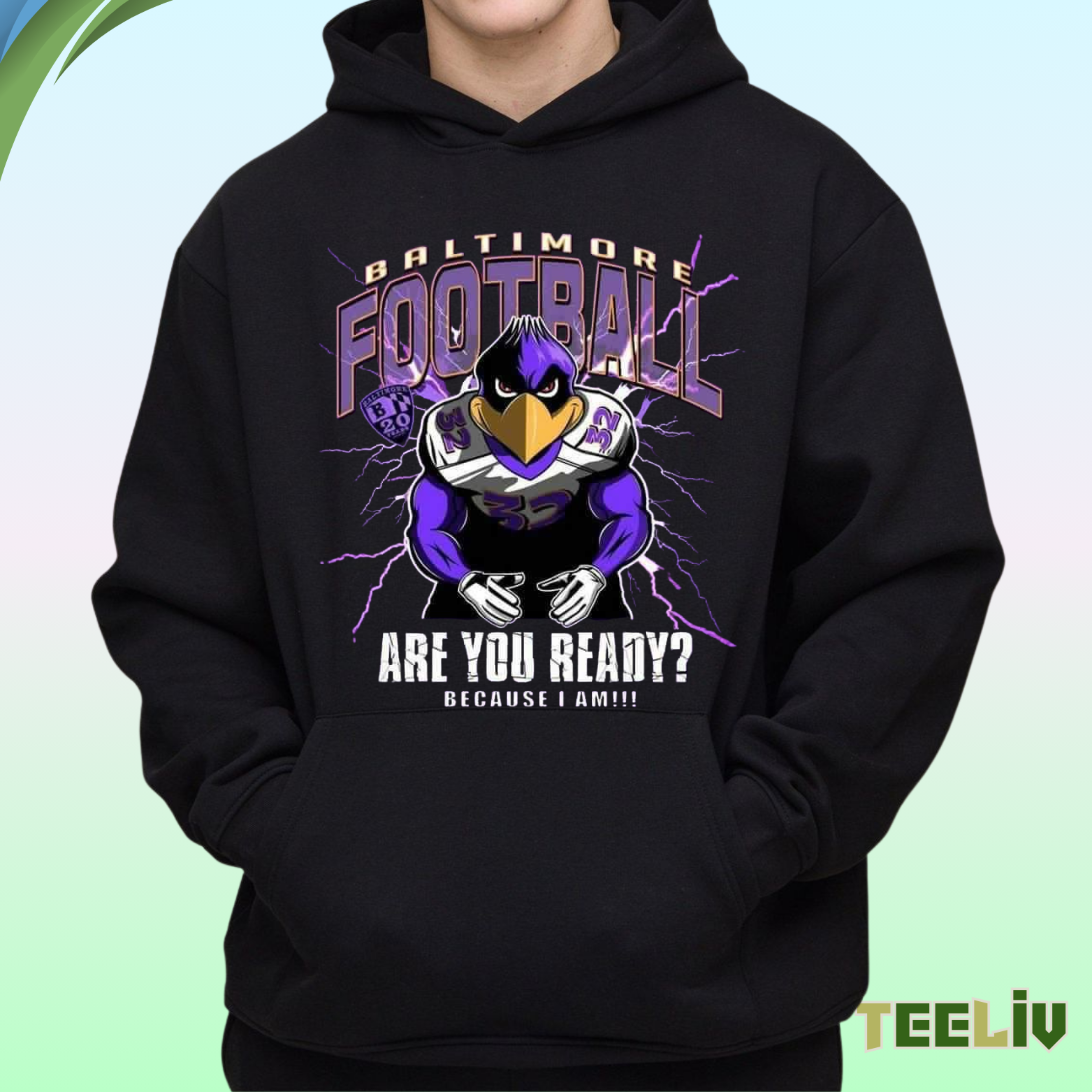 Baltimore Football Hoodie – Fearless Raven Mascot Design